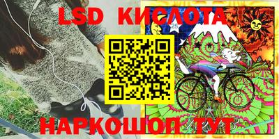 прущие крисы Белореченск