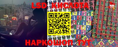 скорость Бердск