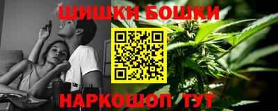 скорость Бердск
