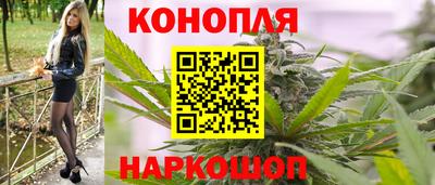 скорость Бердск