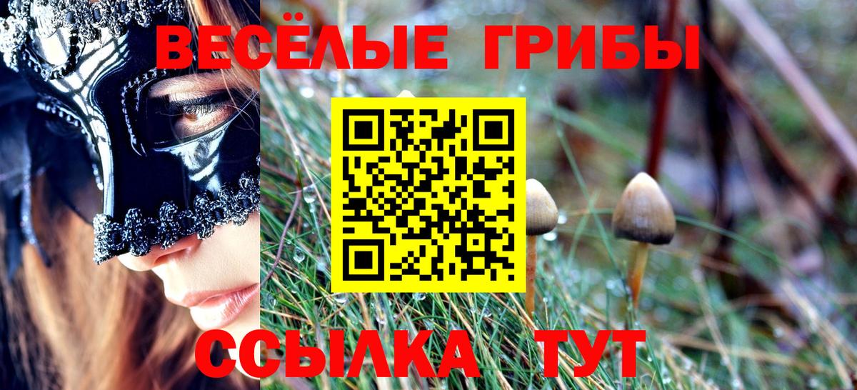 Бор  Псилоцибиновые грибы MAGIC MUSHROOMS  Вход с VPN  Псилоцибиновые грибы MAGIC MUSHROOMS 
